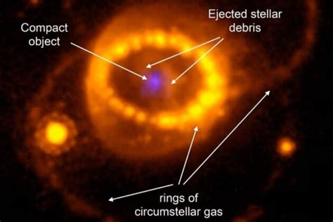 Scientists identify neutron star born out of supernova seen in 1987 - DFA