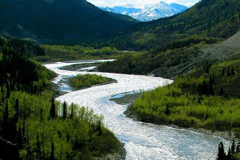 Kenai River Fishing Spots, Access Points and Regulations