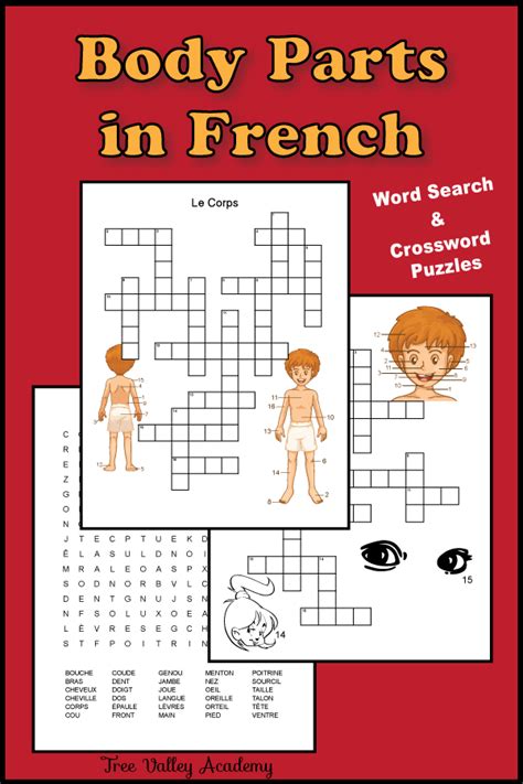 French Body Parts Worksheet - Tree Valley Academy