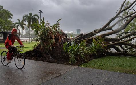 Woman killed by fallen tree as wild Christmas storm lashes the Gold ...