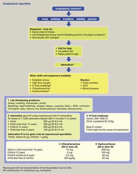 Anaphylaxis - Medicine