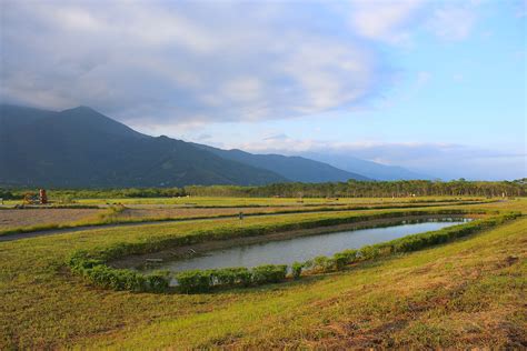 Taiwan Hualien Danongdafu Forest Park 大農大富平地森林園區 | CAMEMBERU