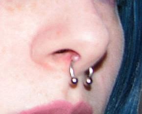 Septum Piercing Aftercare | Ideias para piercings, Piercings faciais, Piercings corporais