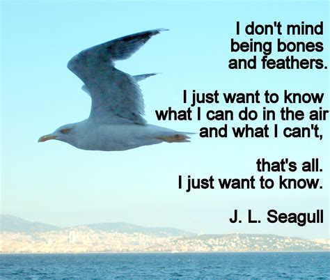 Jonathan Livingston Seagull Quotes. QuotesGram