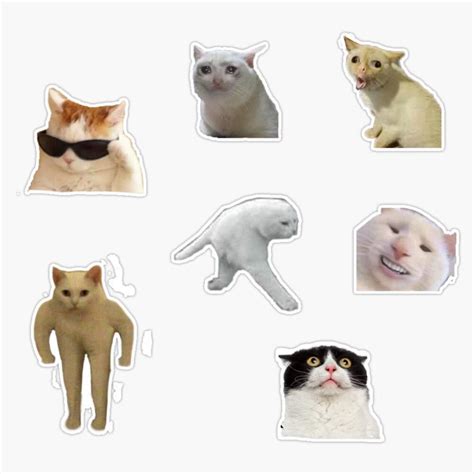 Amazon.com - Cat Memes Sticker Pack Sticker Vinyl Bumper Sticker Decal ...