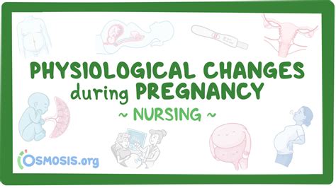 Physiologic changes - Pregnancy: Nursing: Video & Causes | Osmosis