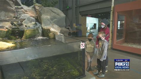 Great Lakes Aquarium Seeing Record-Setting Attendance - Fox21Online