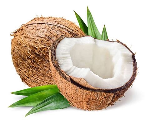 what is coconut meat - COCOPANY | Reliable Coconut Product Supplier