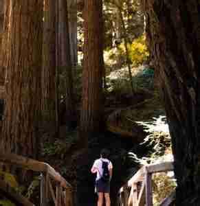 Best Redwood National Park RV Camping Spots, Detailed Review