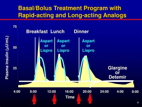 PPT - Management of Type 2 Diabetes with Basal Bolus Treatment ...