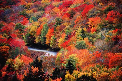 Peak Fall Foliage Will Likely Arrive Late This Year