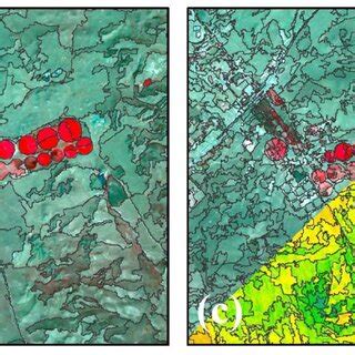 Image segmentation at different scales and input layers: (a ...