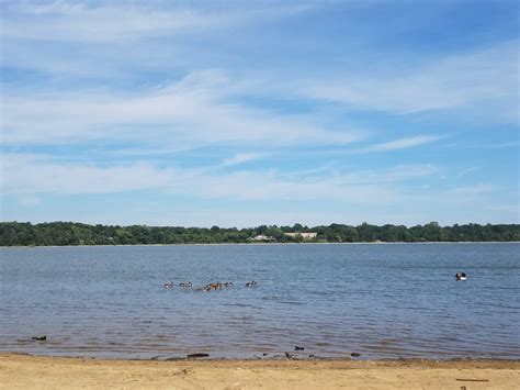 Lake Ronkonkoma Roadside Memorial - 13 Photos - Landmarks & Historical ...