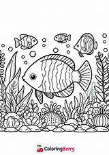 Aquarium Fish Coloring Page Free PDF Printable sketch template