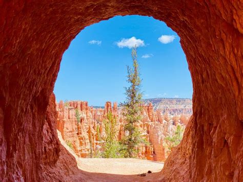 Bryce Canyon National Park: Guided Hike and Picnic | GetYourGuide