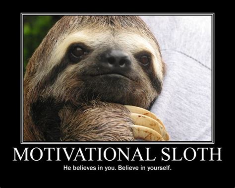 Pin on Cute Sloth Stuff!