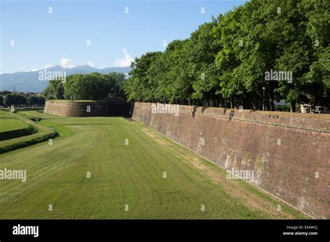 City walls, Lucca, Tuscany, Italy, Europe Stock Photo - Alamy