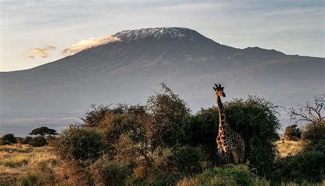 % Safest Places to Visit in Africa: Top 7 Picks (2024 Edition)