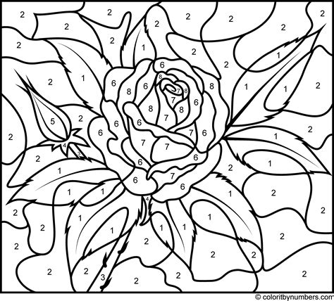 Paint By Number Coloring Pages