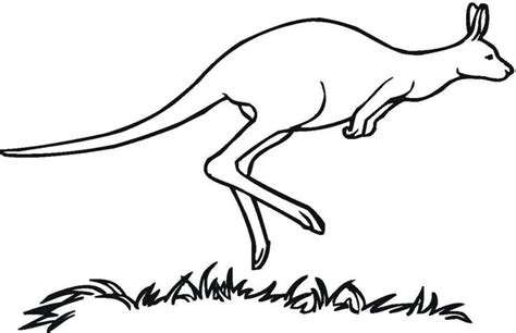 Free Printable Kangaroo Coloring Pages For Kids | Animal coloring pages, Coloring pages, Kangaroo