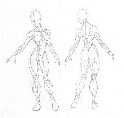 Pin by Marcelo Amp on Anatomy 4 Sculptors | Body drawing, Body ...