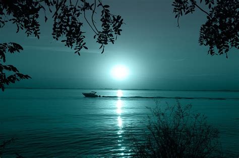 Download Moonlight, Night Sky, Lake. Royalty-Free Stock Illustration ...