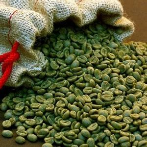 Buy Green Arabica Coffee Beans. Very Affordable. from Khan Global ...