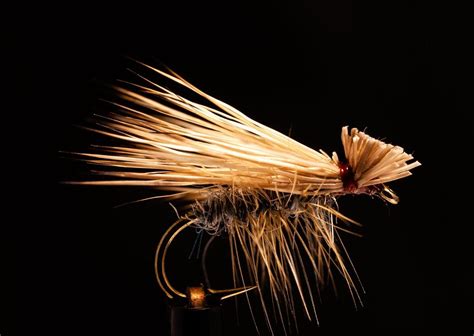 10 Fly Patterns For Trout – Togens Fly Shop