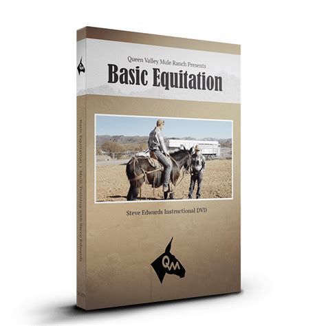 Problem Mule, Building A New Foundation | How to Start A Mule