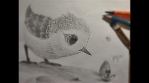 DRAWING PIPER BIRD - YouTube