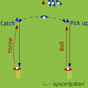 Roll and Catch Ground fielding and throwing - Cricket | Sportplan