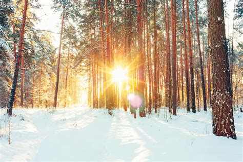 Winter Solstice: The Science of the Shortest Day of 2017 | Space