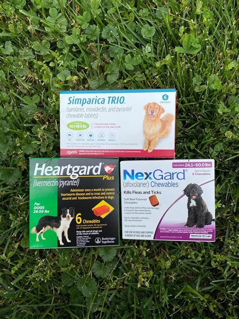 Flea, Tick and Heartworm Prevention - Catoctin Veterinary Clinic