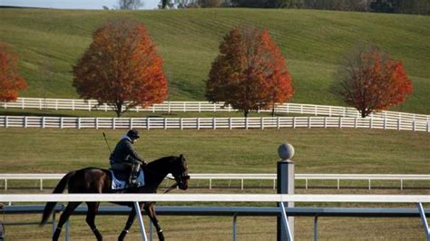 10 Places to Go Horseback Riding | VisitMaryland.org