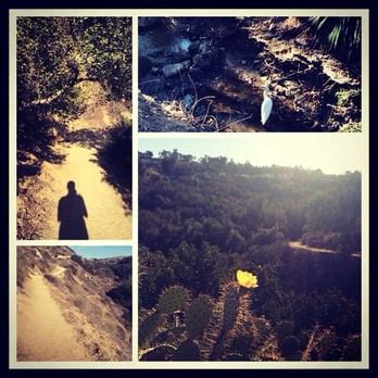 Oak Canyon Nature Center - Can't beat nature and it's power to help u ...