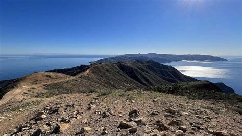 11 Catalina Island Hiking Trails to Enjoy - Go Travel California