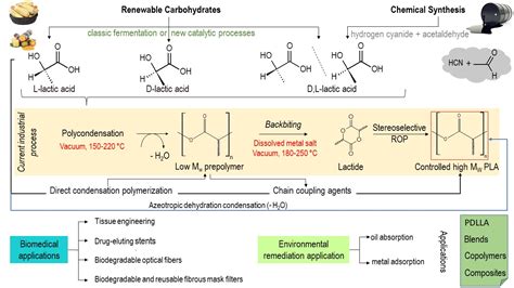 Polylactic Acid Applications