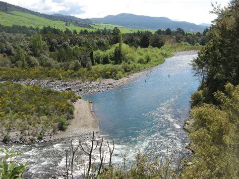 Trout Fishing – Tongariro River Motel