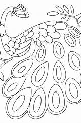 Peacock Feather Coloring Pages For Adults sketch template
