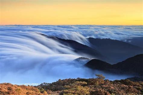 mount Pulag... sea of clouds | Mountain landscape photography ...