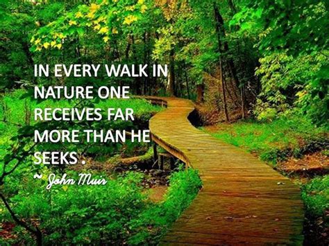 20 best Inspirational Nature Quotes images on Pinterest