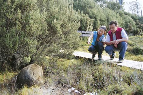 Cradle Mountain Wildlife Spotting after Dark in Tasmania