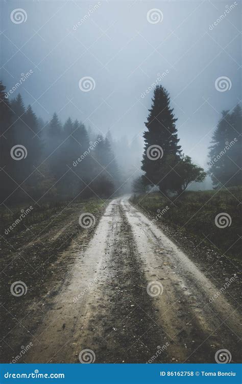 Dark Gloomy Day on Foggy Forest Dirt Road Stock Photo - Image of ground, fantasy: 86162758