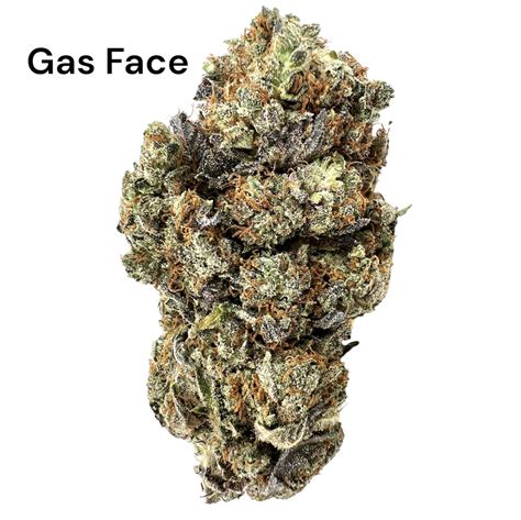 Gas Face | naturalhighdelivery.com