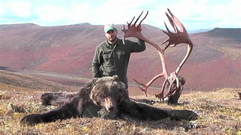 Alaska Caribou Hunting - YouTube