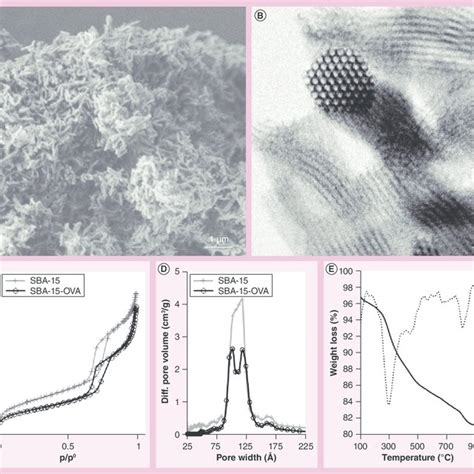 Particle characterization. (A) A scanning electron microscopy image of... | Download Scientific ...