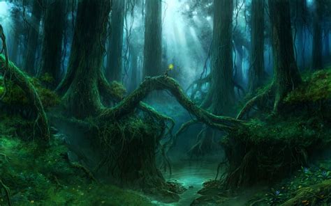 Download Wizard In A Massive Enchanted Forest Wallpaper | Wallpapers.com