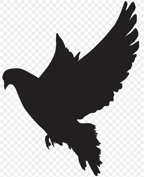 Columbidae Silhouette Dove Clip Art, PNG, 6510x8000px, Columbidae, Art ...