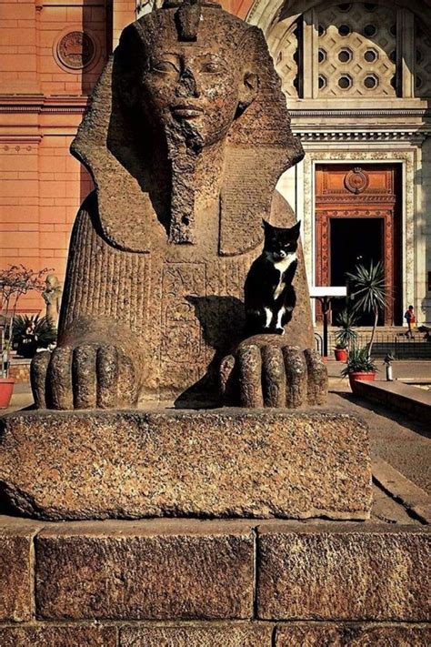 Why Were Cats So Important In Ancient Egypt? | Cats in ancient egypt ...