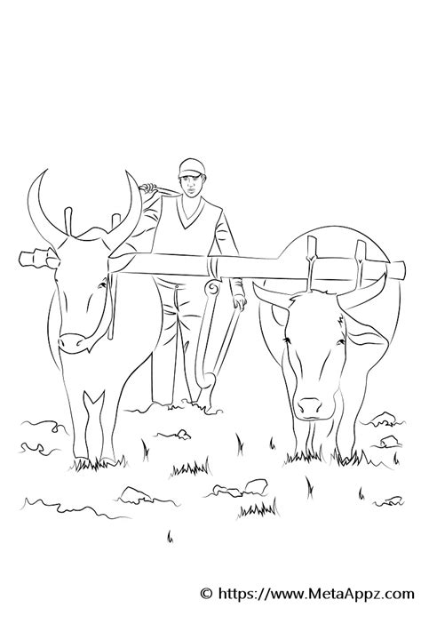 Traditional Farming - Ethiopia Illustrated